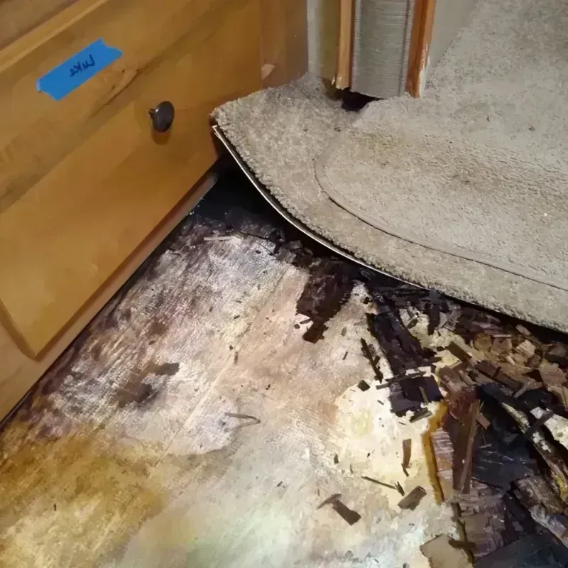 Best Wood Floor Water Damage Service in Opa-locka, FL